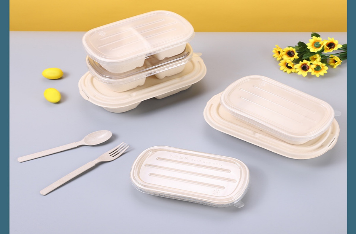 Disposable Dinnerware Sets and Water Cups: A Combined Procurement Strategy