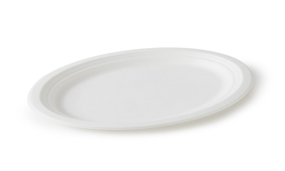 Corn Starch Dinner Plate