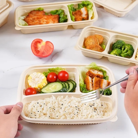 Corn Starch Plate Microwave Safety