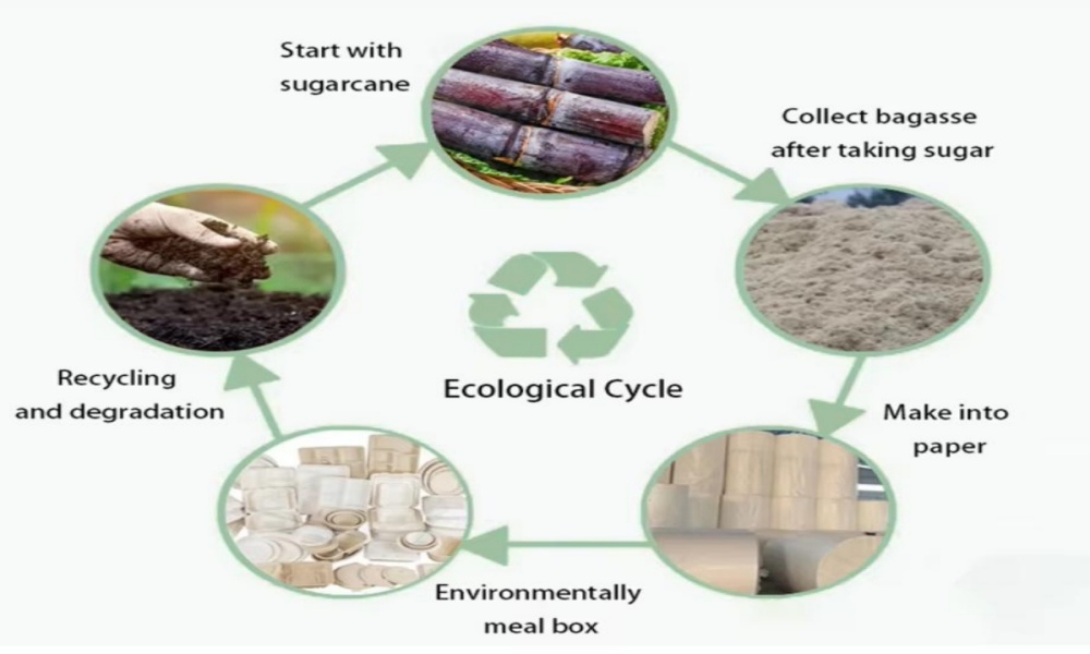 Manufacturing process of bagasse tableware