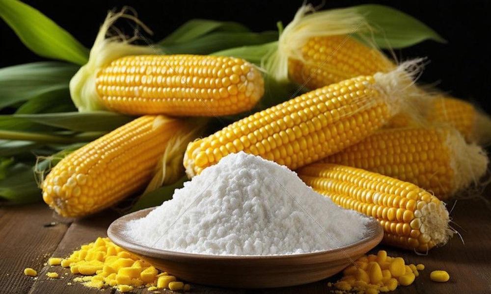 Corn Starch Food Containers