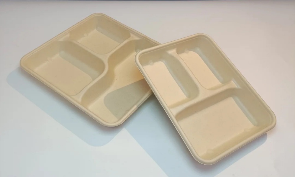 Food Safety Certification