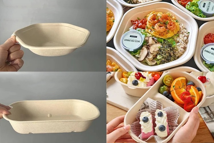 Sustainable Foodservice Solutions Comparison