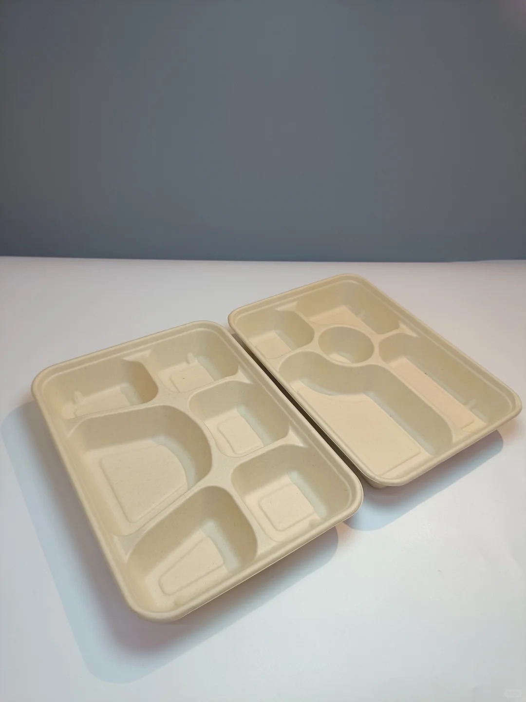 Sugarcane Fiber Materials