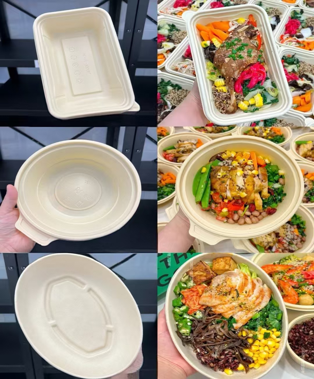 Sugarcane Fiber Material