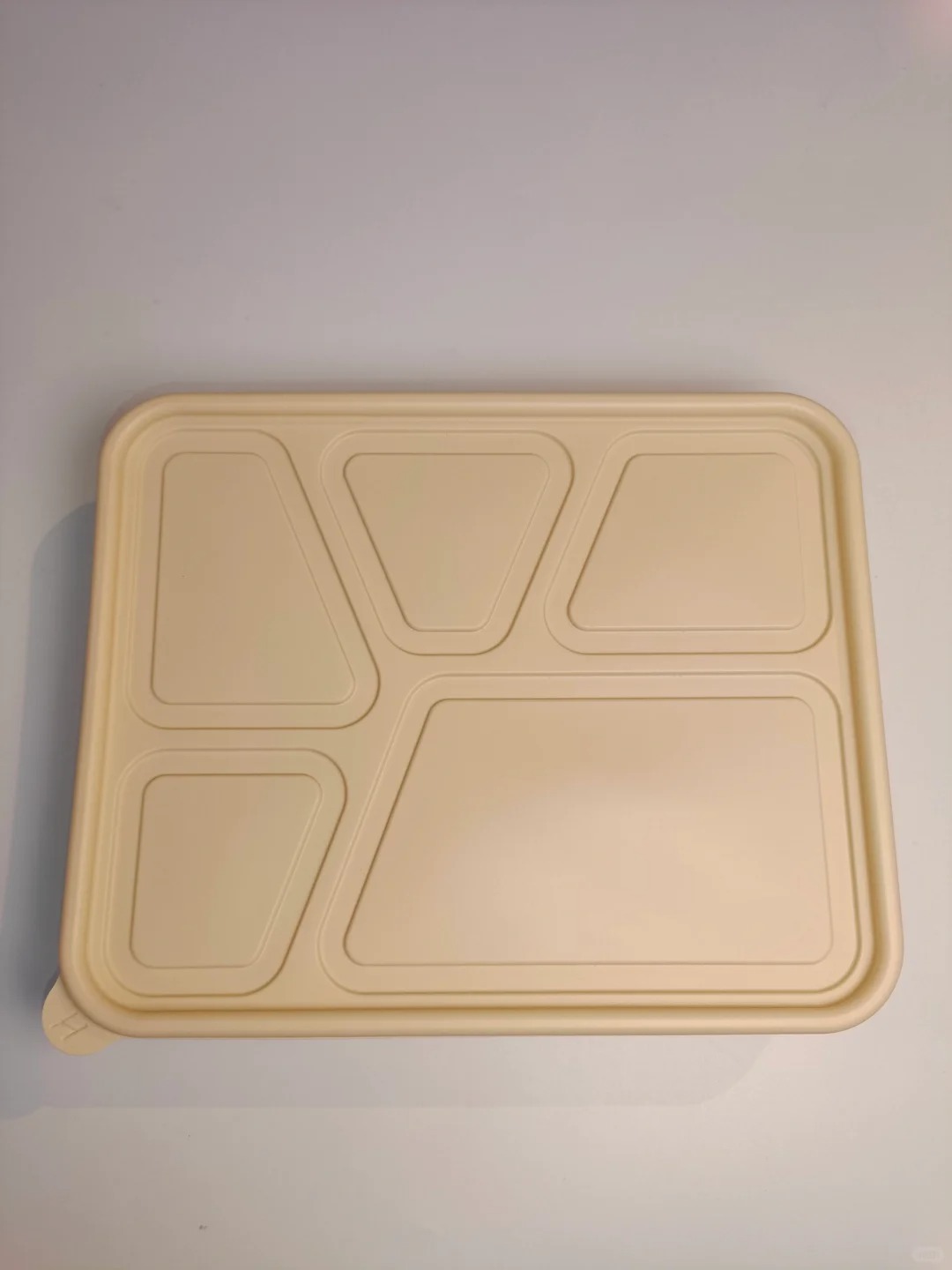 Corn Starch Production