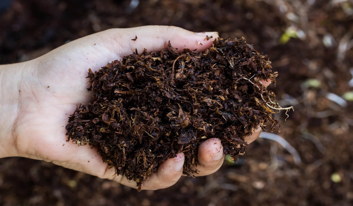 EN13432 and BPI Certification Badges