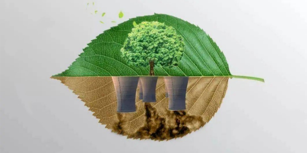 BPI and OK Compost Certification Logos